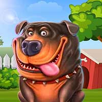 100 Darmowych Spinów bez depozytu w Starda Casino – warunki, gry i odbiór bonusu